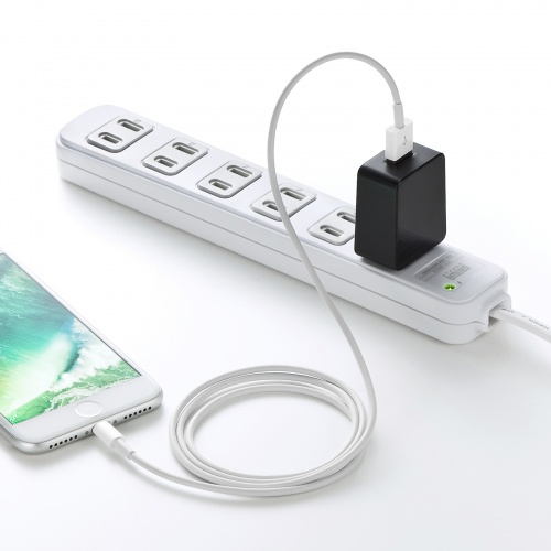 【アウトレット】USB充電器（1A出力・高耐久タイプ・1ポート・ブラック）ACA-IP49BKN