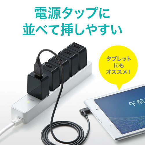 USB充電器（2A・高耐久タイプ・ブラック）