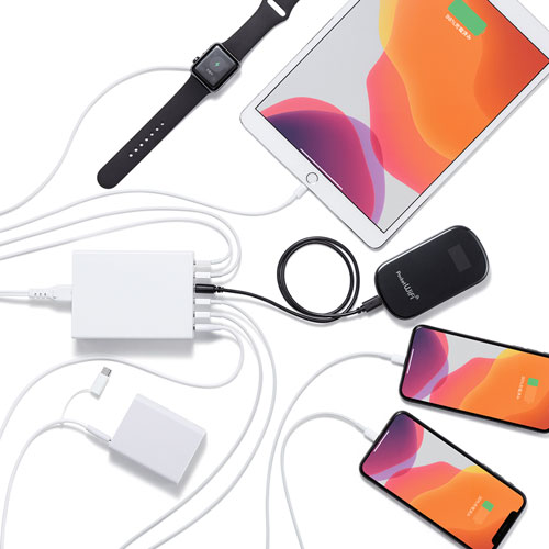 USB充電器（6ポート・合計12A・ホワイト）