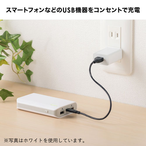 USB充電器（1A・AC充電器・ブラック） ACA-IP86BK サンワサプライ