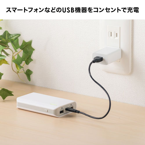 USB充電器（1A・AC充電器・ホワイト） ACA-IP86W サンワサプライ