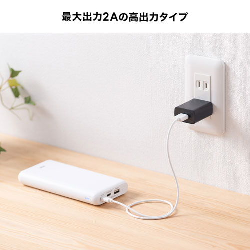 USB充電器（2A・AC充電器・ブラック） ACA-IP87BK サンワサプライ