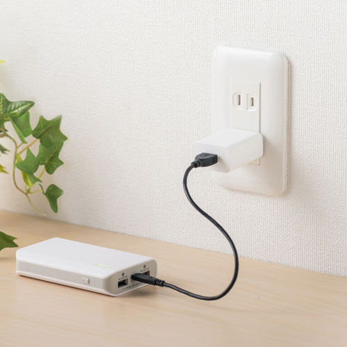 USB充電器（2A・AC充電器・ホワイト） ACA-IP87W サンワサプライ