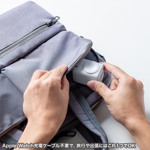 Apple Watch対応 USB充電器（PD30W・USB-C×1・2in1・小型・急速充電・iPhone・iPad・13インチMacBook Air・スマホ・タブレット）