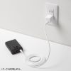 USB-C充電器(AC充電器・PD20W・急速充電・超小型・折りたたみ式プラグ・PSE取得・iPhone・iPad・スマホ・タブレット・モバイルバッテリー）