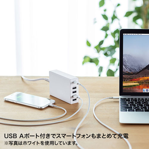 USB Power Delivery対応AC充電器（5ポート・合計60W・ブラック）