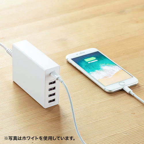 USB Power Delivery対応AC充電器（5ポート・合計60W・ブラック）