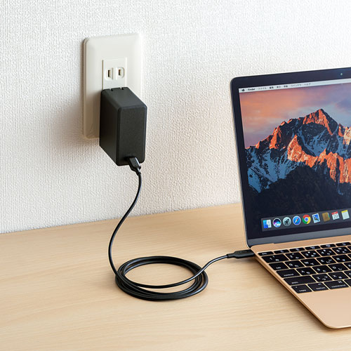 USB Power Delivery対応AC充電器（45W）