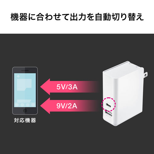 AC充電器（USB Power Delivery対応・2ポート・Type-C，合計30W）