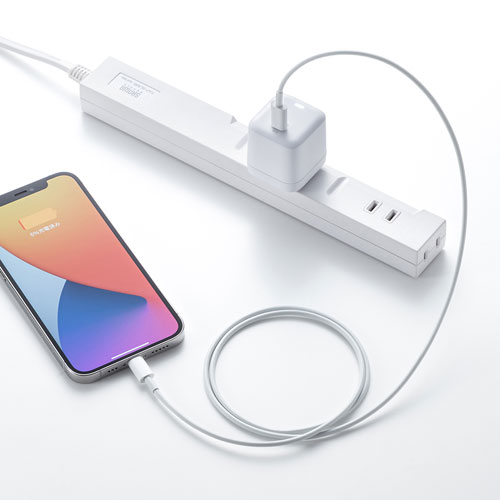 AC充電器（キューブ型・PD対応・PD20W・iPhone15対応・ホワイト） ACA-PD89W サンワサプライ