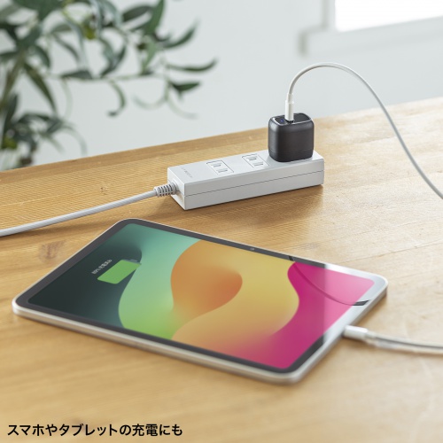 USB-C充電器（USB PD30W・超小型・急速充電器・Type-C・1ポート・iPhone・iPad・スマートフォン・Android・各種対応・PSE認証商品・ブラック）