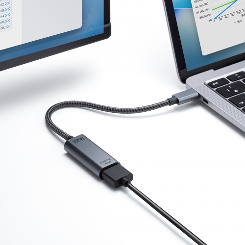 USB Type-CーHDMI変換アダプタ（4K/120Hz・8K/60Hz・HDR・ケーブル長20cm・DP・Alt・高画質・ガンメタリック）