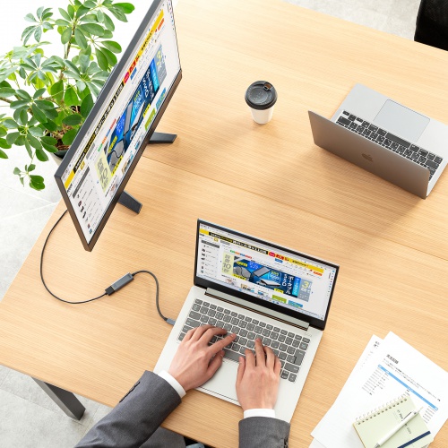 USB Type-CーHDMI変換アダプタ（4K/120Hz・8K/60Hz・HDR・ケーブル長20cm・DP・Alt・高画質・ガンメタリック）