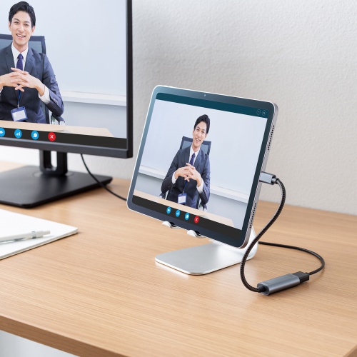 USB Type-CーHDMI変換アダプタ（4K/120Hz・8K/60Hz・HDR・ケーブル長20cm・DP・Alt・高画質・ガンメタリック）