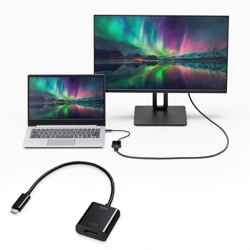 USB Type-C - DiplayPort 変換アダプタ（4K/120Hz・HDR 対応・ケーブル長20cm・小型・コンパクト・ブラック）