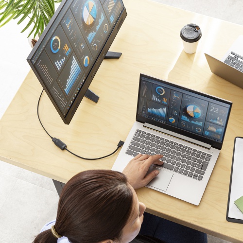 USB Type C-HDMI変換アダプタ（4K/30Hz・L字・ケーブル長20cm・ブラック）AD-ALCHD02L