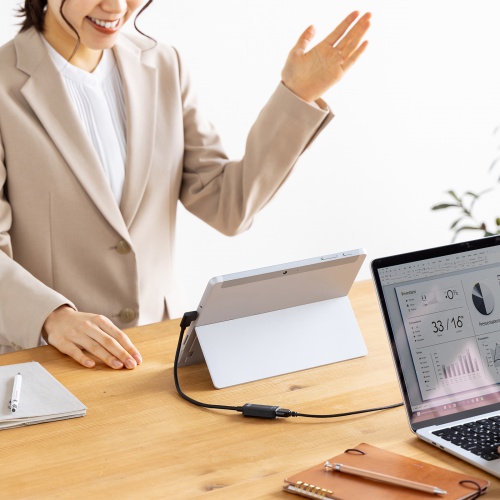 USB Type C-HDMI変換アダプタ（4K/30Hz・L字・ケーブル長20cm・ブラック）AD-ALCHD02L