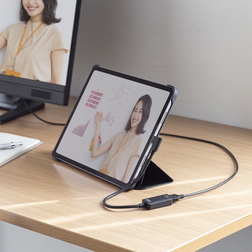 USB Type C-HDMI変換アダプタ（4K/30Hz・L字・ケーブル長20cm・ブラック）AD-ALCHD02L