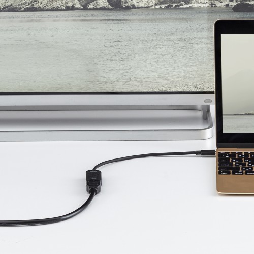 Type-C変換アダプタ（HDMI・おすすめ・iPhone15対応・iPhone15plus対応・ブラック） AD-ALCHD02 サンワサプライ