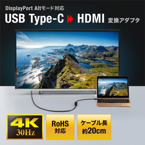Type-C変換アダプタ（HDMI・おすすめ・iPhone15対応・iPhone15plus対応・ブラック） AD-ALCHD02 サンワサプライ