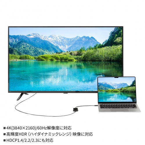 USB-C-HDMI 変換アダプタ（4K/60Hz・簡易パッケージ・フルHD/60Hz・ケーブル長20cm・iPhone15/16対応・MacBook対応・iPad Pro Air 対応・ブラック）