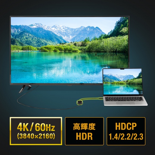 USB-C-HDMI 変換アダプタ（4K/60Hz・簡易パッケージ・フルHD/60Hz・ケーブル長20cm・iPhone15/16対応・MacBook対応・iPad Pro Air 対応・ブラック）