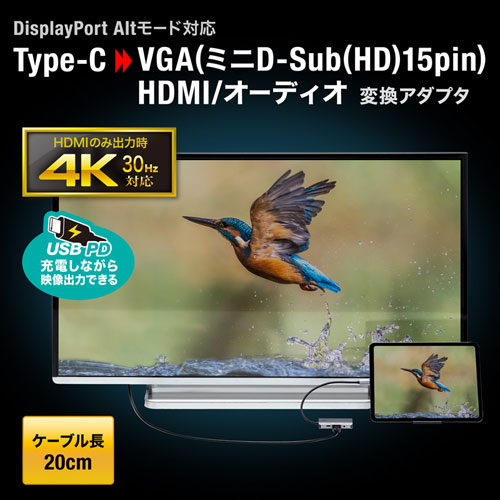 タイプC変換アダプタ／HDMI／VGA／PD給電／AD-ALCHV02