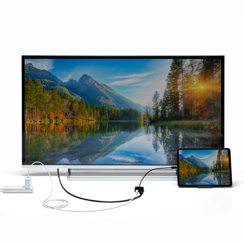 Type-C変換アダプタ（HDMI・PD・おすすめ）AD-ALCPHDPD サンワサプライ