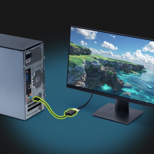 DisplayPort-DVI 変換アダプタ（20cm・アクティブタイプ・1080p・ディスプレイポート・変換ケーブル）
