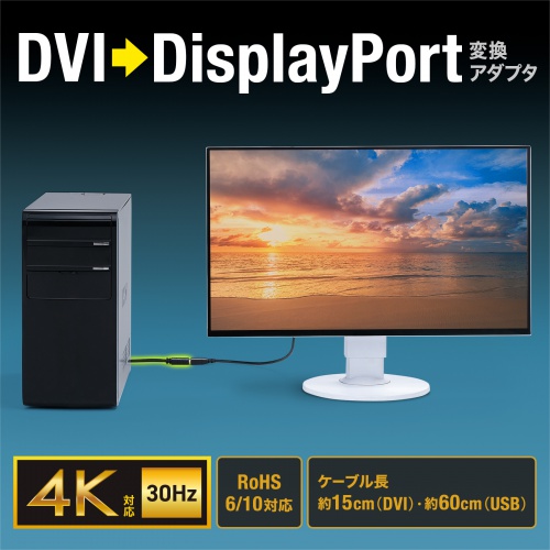 DVI-DisplayPort 変換アダプタ（4K/30Hz・約15cm・RoHS6/10 対応・USB電源・DVI-24pin・3重シールド）