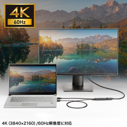 HDMI-DisplayPort変換アダプタ（4K/60Hz・ケーブル長20cm・パソコン・PS5・ブラック）