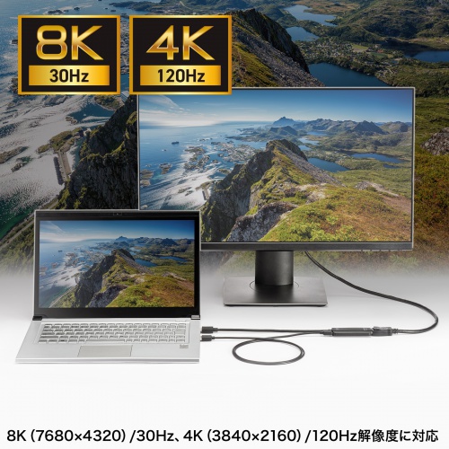 HDMI-DisplayPort変換アダプタ（8K/30Hz・4K/120Hz・ケーブル長20cm・パソコン・PS5・ブラック）