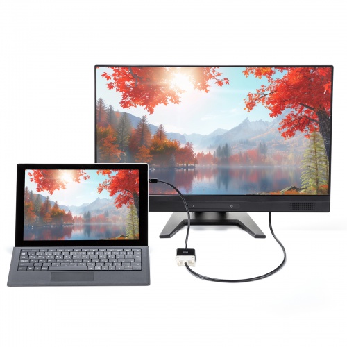 Mini DisplayPort-DVI 変換アダプタ（20cm・アクティブタイプ・1080p・ミニDP・変換ケーブル）