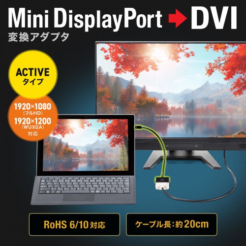 Mini DisplayPort-DVI 変換アダプタ（20cm・アクティブタイプ・1080p・ミニDP・変換ケーブル）