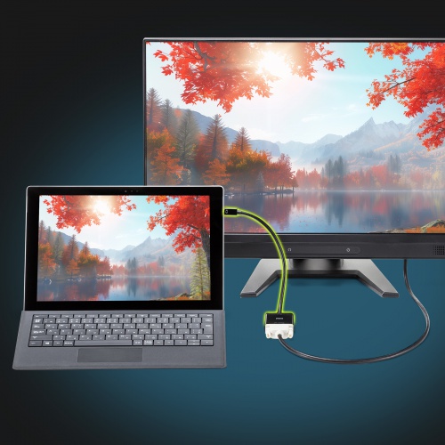 Mini DisplayPort-DVI 変換アダプタ（20cm・アクティブタイプ・1080p・ミニDP・変換ケーブル）