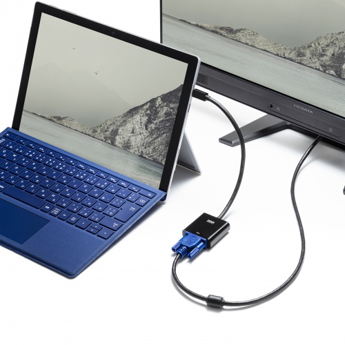 Mini DisplayPort-VGA変換アダプタ（ミニDisplayPortオス-VGAメス）