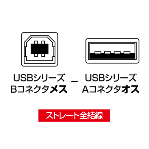 USB変換アダプタ(Bメス?Aオス)USBアダプタ AD-USB5 サンワサプライ