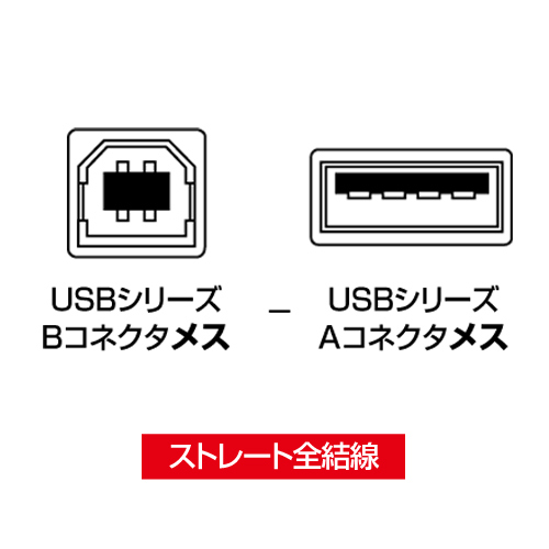 USBアダプタ(USB Bコネクタメス・USB Aコネクタメス) サンワサプライ