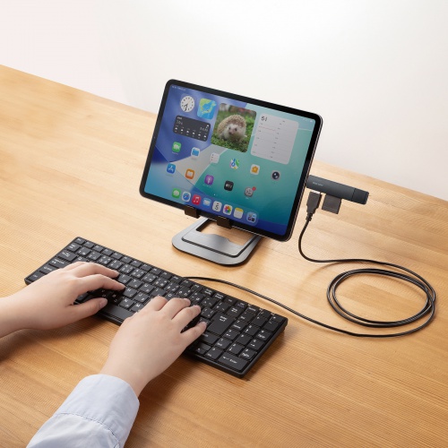 SD/microSDカードリーダー（USB Type-C ＆ USB-A両対応・直挿し・USBポート付き）