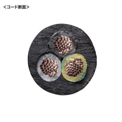 抜け防止ロック式電源コード（ロックプラス・3m・15A・250V）