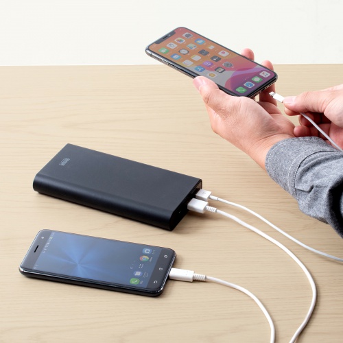 【アウトレット】モバイルバッテリー（飛行機・持ち込み・大容量・20100mAh・軽量・小型・持ち運び・PD45W・タイプCポート搭載・PD対応・機内） BTL-RDC26 サンワサプライ