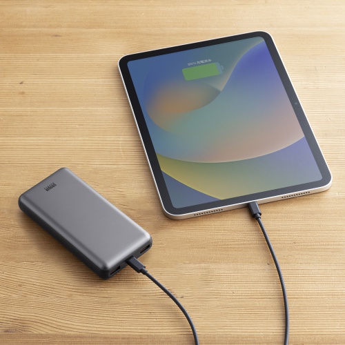 モバイルバッテリー（飛行機・持ち込み・大容量・20000mAh・軽量・小型・持ち運び・PD20W・タイプCポート搭載・PD対応・機内・収納ポーチ付き） BTL-RDC29 サンワサプライ