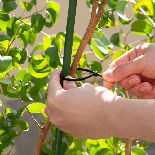 結束バンド（屋外用・長さ150mm・50本入り・耐UV・紫外線に強い・耐候性・幅3.6mm・配線・DIY・結束径最大36mm・引張強度18kg・ブラック）