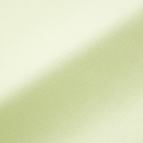 液晶クリーナー（Lサイズ・グリーン） サンワサプライ