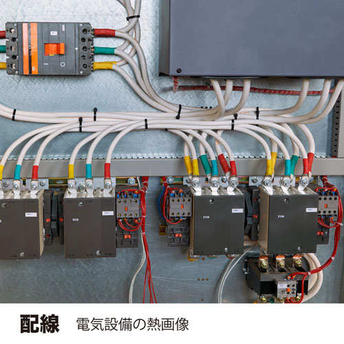 サーモグラフィ（赤外線・非接触・温度測定） CHE-TG220 サンワサプライ