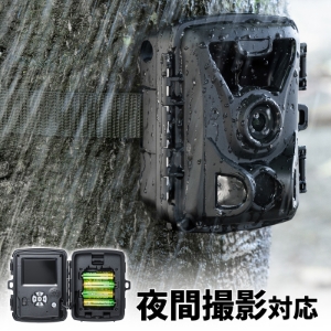 トレイルカメラ｜防犯・動物・熊・連続録画・夜間撮影20m・防水・長待機・広角