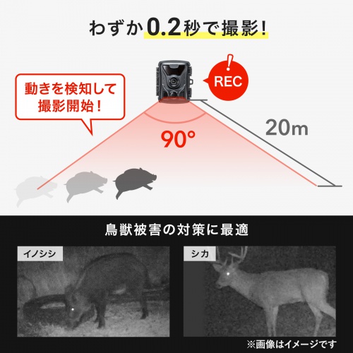 トレイルカメラ｜防犯・動物・熊・連続録画・夜間撮影20m・防水・長待機・広角