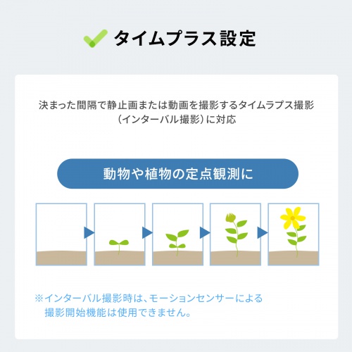 トレイルカメラ（防犯カメラ・防犯・ワイヤレス・赤外線センサー内蔵・800万画素・IP67防水防塵・バッテリー内蔵・犯罪抑止・獣害対策・オフィス・家庭・シンプルデザイン）