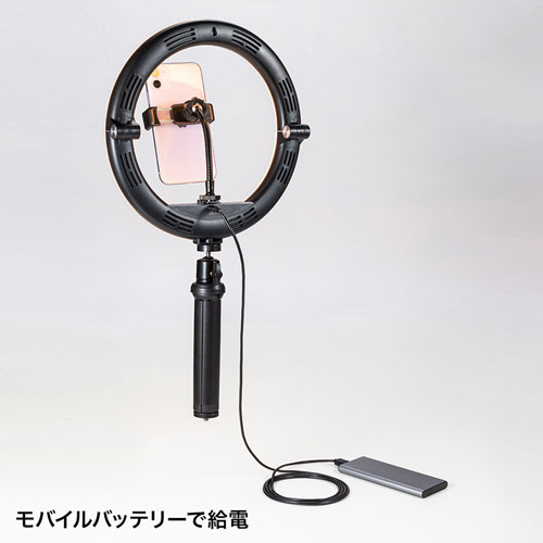 スタンド付きリングライト（WEBカメラ・スマホ取り付け可能・明るさ無段階調節・テレワーク・動画配信・折りたたみ・持ちはこび）