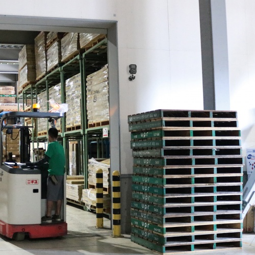 カメラマウント (壁取付用) CR-LACAMW1 サンワサプライ